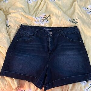 High waist plus size shorts
